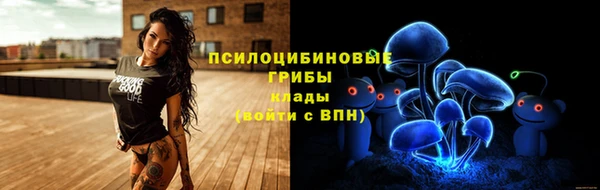 гашик Усмань